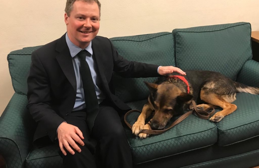 Neil O'Brien MP - pet theft